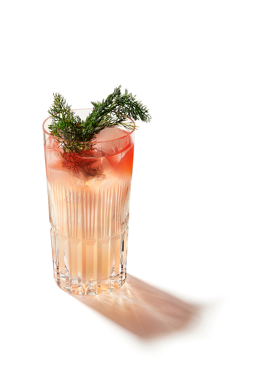 Cocktail di Aqua/Portfolio