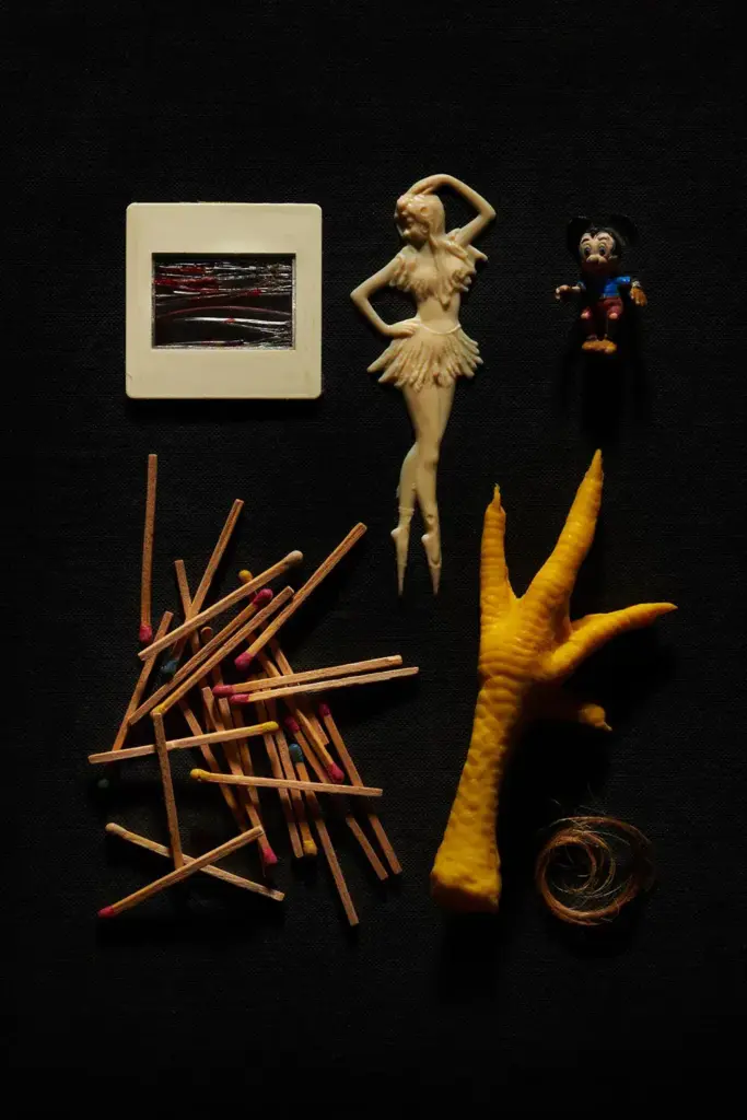 Del Mondo: toys herbarium like illustrated encyclopedia
